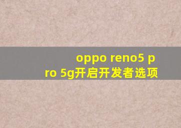 oppo reno5 pro 5g开启开发者选项